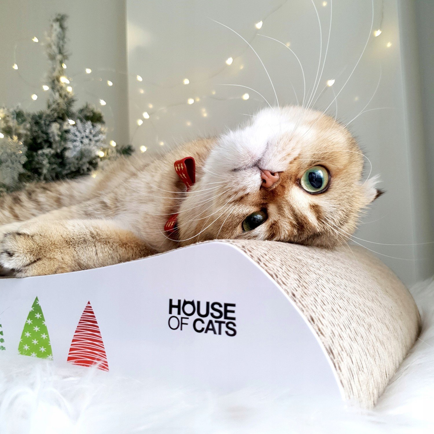 Škrabadlo karton Pelíšek od House of Cats Vánoce