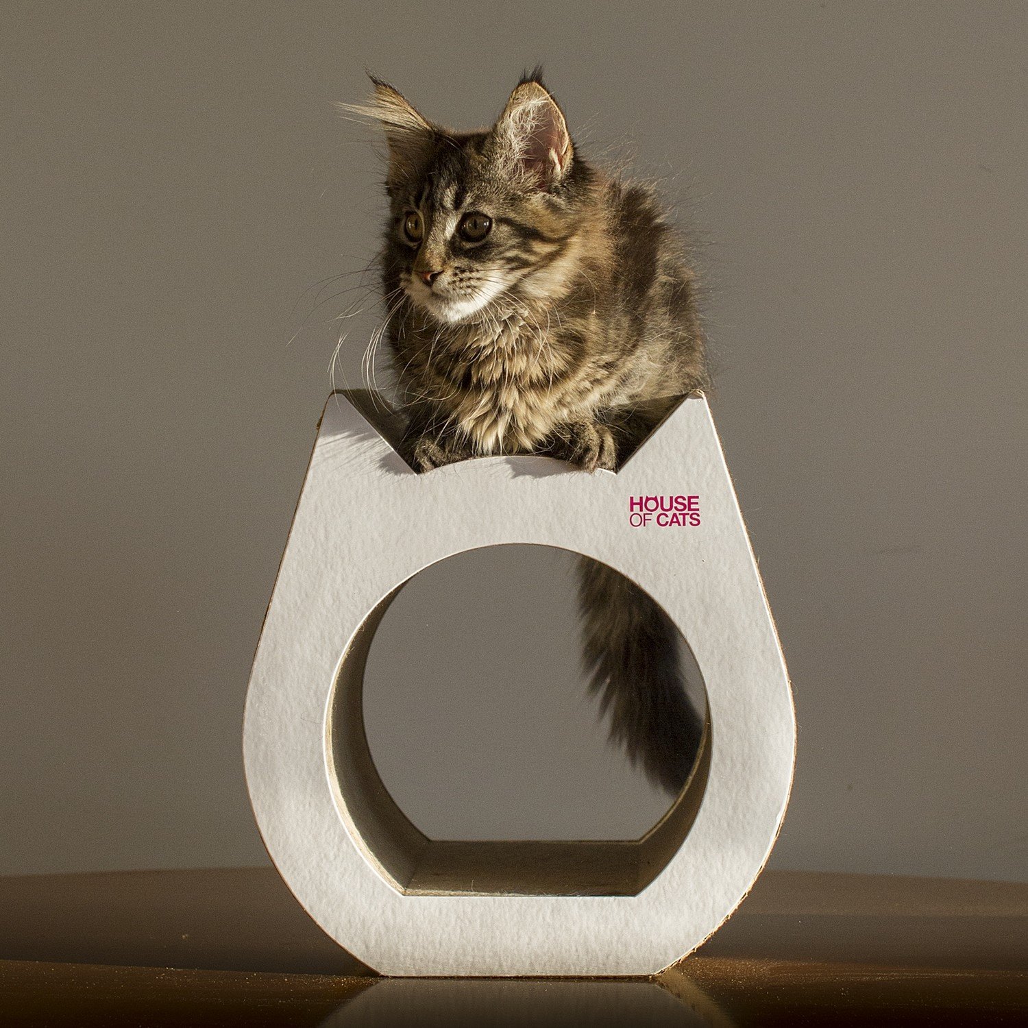 Koťata, kartonové škrabadlo lehátko od House of Cats