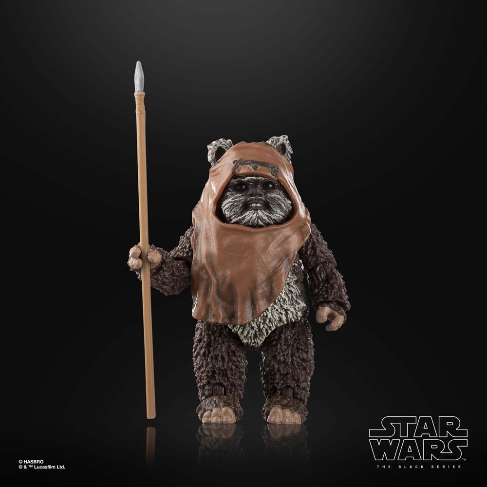Hasbro | Star Wars Episode VI - sběratelská figurka Wicket (Black Series) 15 cm