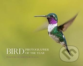 Bird Photographer of the Year - Bird Photographer of the Year