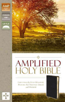 Amplified Bible-Am: Captures the Full Meaning Behind the Original Greek and Hebrew (Zondervan)(Bonded Leather)