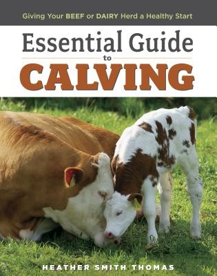 Essential Guide to Calving: Giving Your Beef or Dairy Herd a Healthy Start (Thomas Heather Smith)(Paperback)