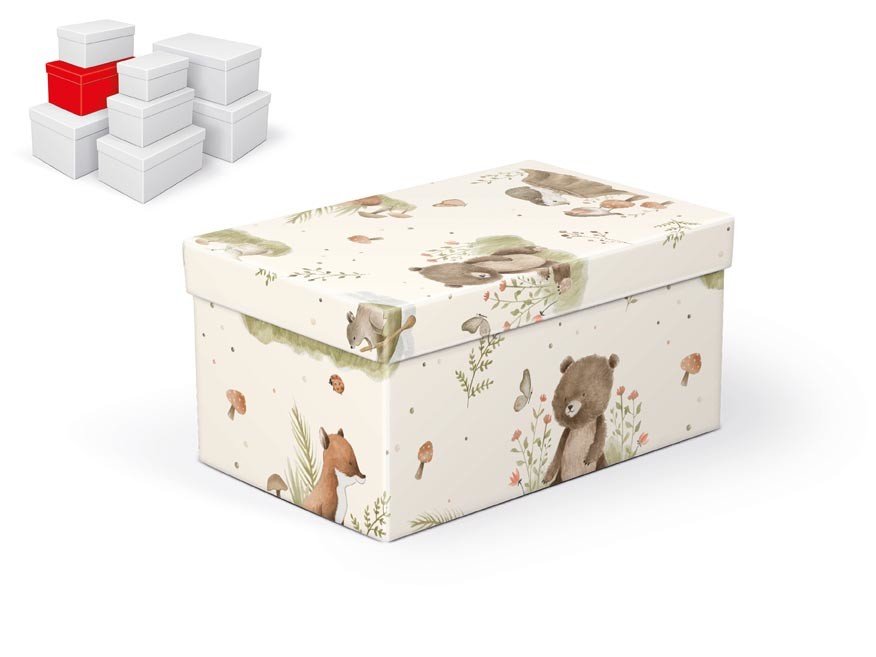 MFP 5371086 Krabice dárková B-C009-D 22x14x11cm