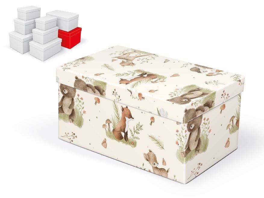 MFP 5371090 Krabice dárková B-C009-H 30x19x15cm