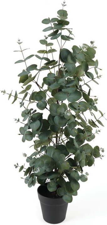 Umělý eukalyptus – PT LIVING