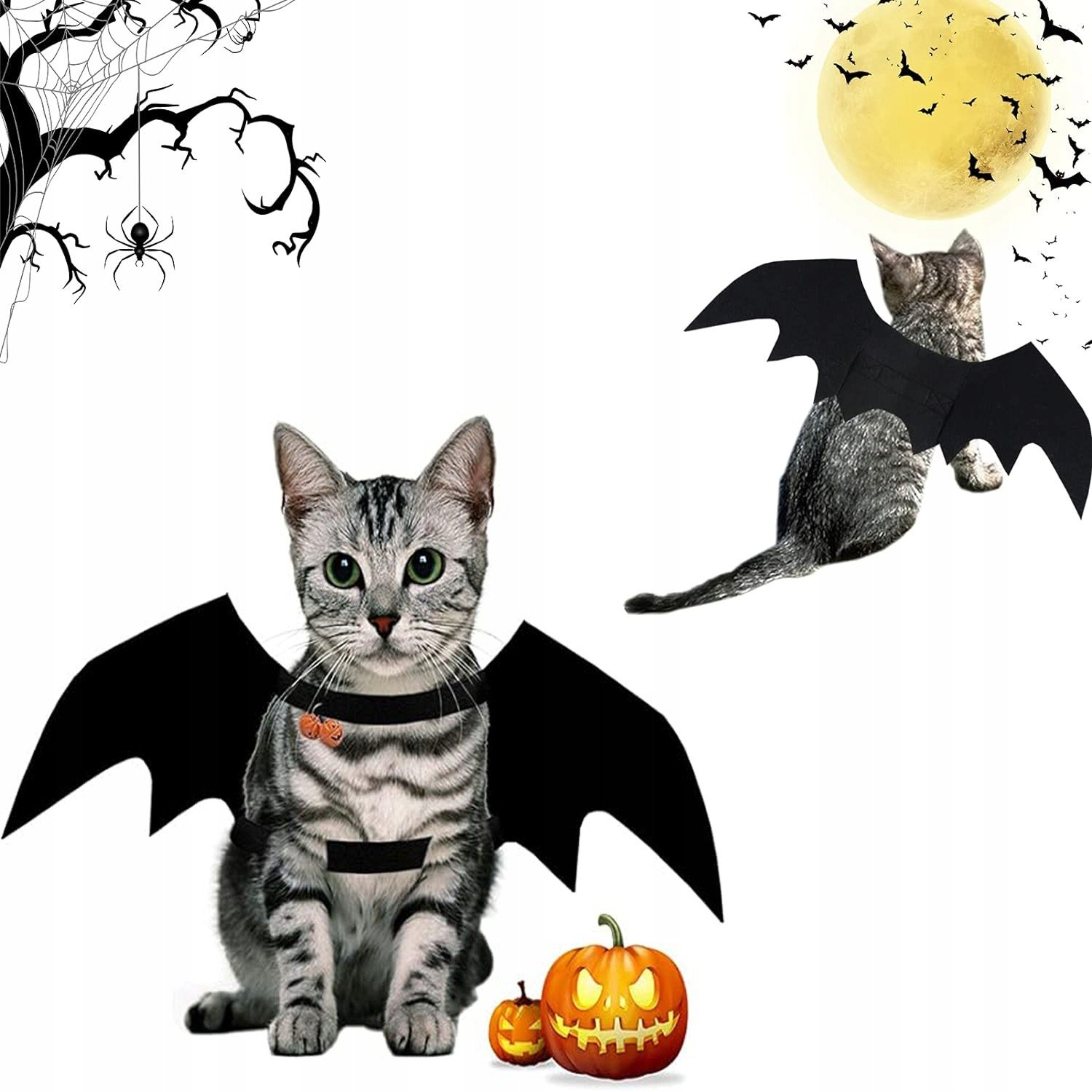 Kostým pro psa kočky na Halloween, křídla netopýra kostým pro zvířata