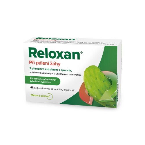 Reloxan Mint 48 žvýkacích tablet