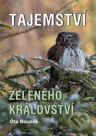 Tajemství zeleného království - Ota Bouzek