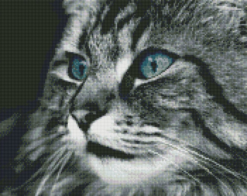 Ideyka Diamantové malování obraz modrooké kočky 40x50cm - 1 ks