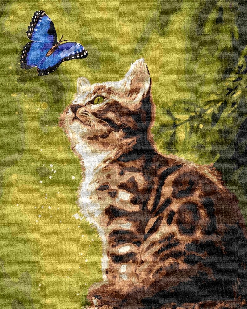 Ideyka Malování podle čísel obraz kotě s motýlem 40x50cm - 1 ks