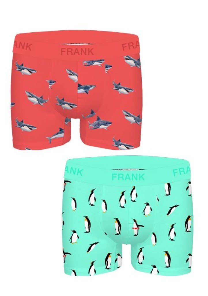 Pánské boxerky John Frank JF2BFUN03