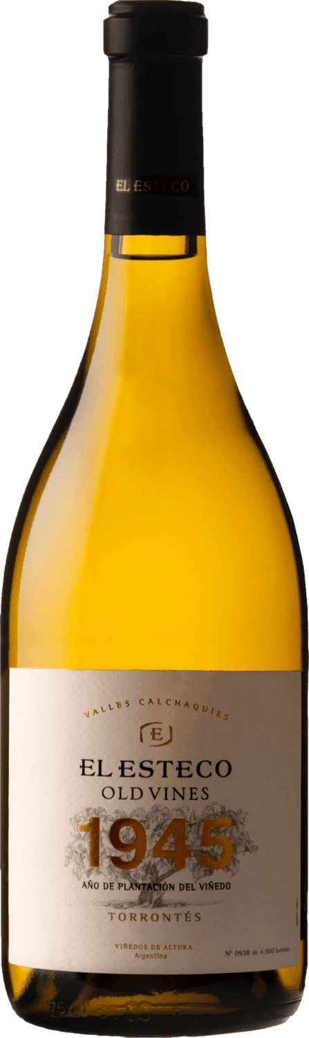 El Esteco Old Vines Torrontes 2022