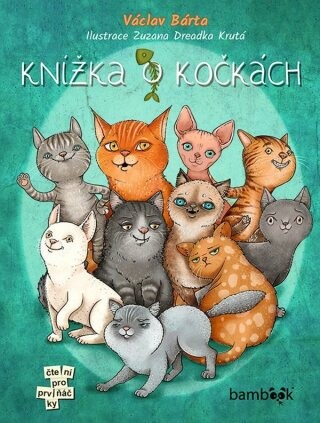 Knížka o kočkách - e-kniha