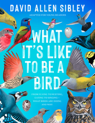 What It's Like to Be a Bird (Adapted for Young Readers): From Flying to Nesting, Eating to Singing--What Birds Are Doing and Why (Sibley David Allen)(Library Binding)