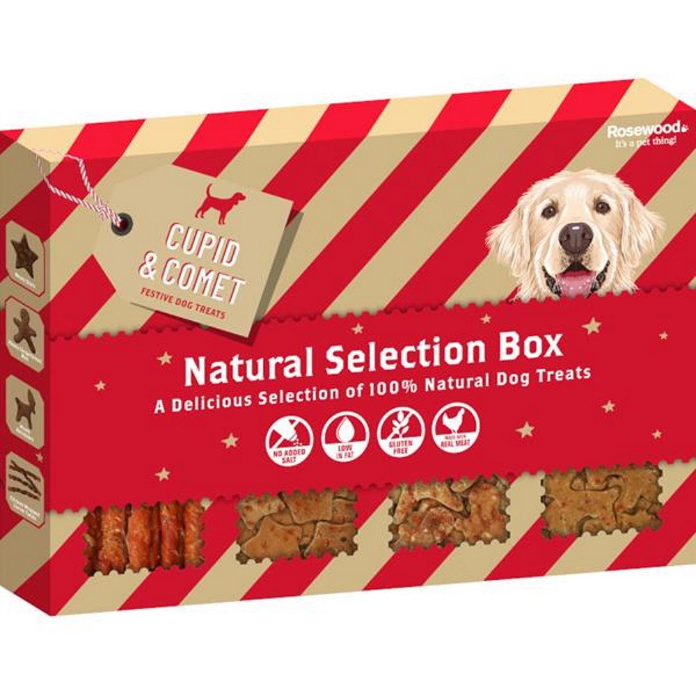 ROSEWOOD Box dog snacks pamlsky pro psy  175 g