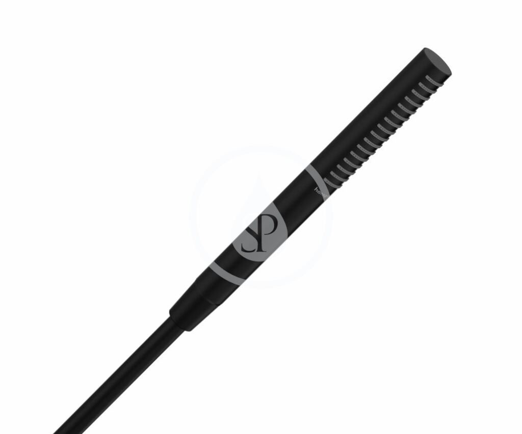 Hansgrohe 24125670 - Sprchová hlavice, EcoSmart, matná černá