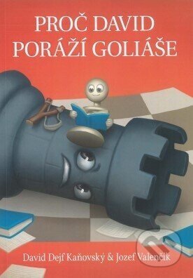 Proč David poráží Goliáše - David Dejf Kaňovský