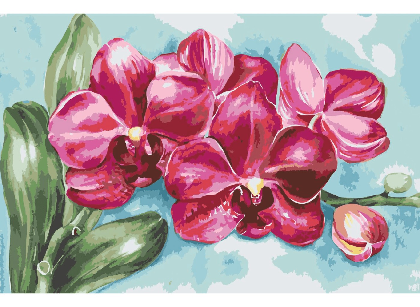 MALUJEŠ Malování podle čísel - ANNA'S ART - KVETOUCÍ ORCHIDEJ Rozměr: 40x60 cm, Rámování: bez rámu a bez vypnutí plátna