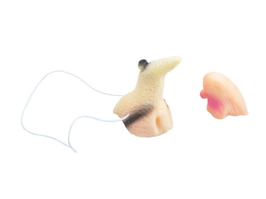 MFP 1042400 Nos a brada čarodějnické