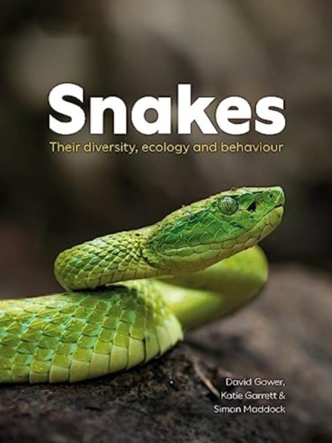 Snakes - Their diversity, ecology and behaviour (Gower David)(Paperback / softback)