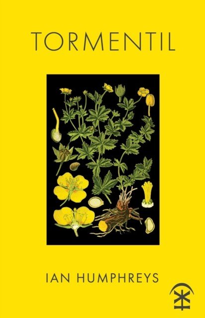 Tormentil (Humphreys Ian)(Paperback / softback)