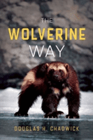The Wolverine Way (Chadwick Douglas H.)(Paperback)
