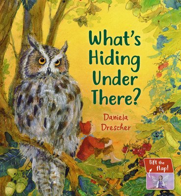 What's Hiding Under There?: A Magical Lift-The-Flap Book (Drescher Daniela)(Board Books)