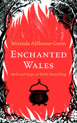 Enchanted Wales: Myth and Magic in Welsh Storytelling (Aldhouse-Green Miranda)(Pevná vazba)
