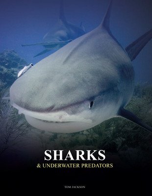 Sharks & Underwater Predators (Jackson Tom)(Pevná vazba)