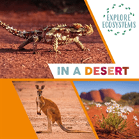 Explore Ecosystems: In a Desert (Ridley Sarah)(Paperback / softback)