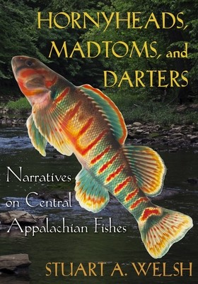 Hornyheads, Madtoms, and Darters: Narratives on Central Appalachian Fishes (Welsh Stuart A.)(Paperback)