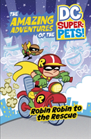 Robin Robin to the Rescue (Korte Steve)(Paperback / softback)