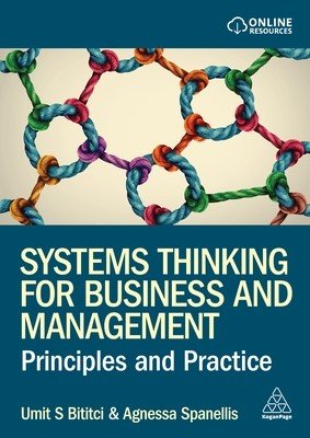 Systems Thinking for Business and Management: Principles and Practice (Bititci Umit S.)(Paperback)