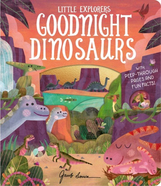 Goodnight Dinosaurs (Littleboy Molly)(Board book)
