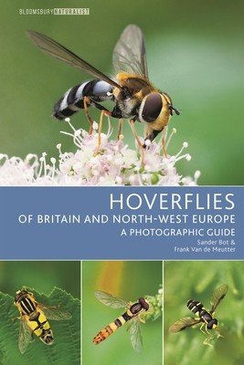 Hoverflies of Britain and North-West Europe: A Photographic Guide (Bot Sander)(Paperback)
