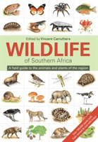 Wildlife of Southern Africa: A Field Guide to the Animals and Plants of the Region (Carruthers Vincent)(Paperback)