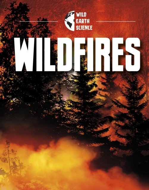 Wildfires (Jaycox Jaclyn)(Paperback / softback)