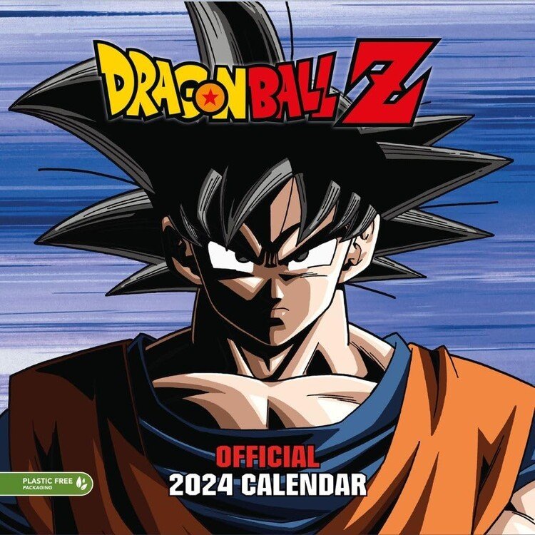 DANILO Kalendář 2024 Dragon Ball Z