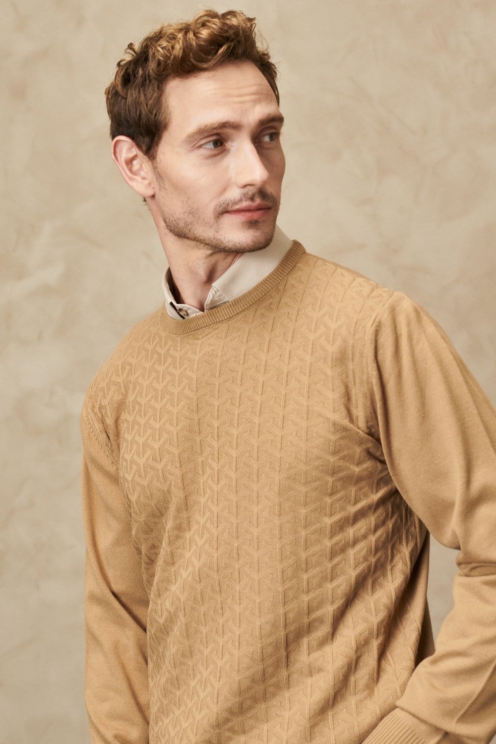 AC&Co / Altınyıldız Classics Men's Beige Anti-pilling Anti-Pilling Standard Fit Crew Neck Front Textured Knitwear Sweater