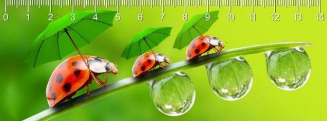 Pravítko The Rainy Day