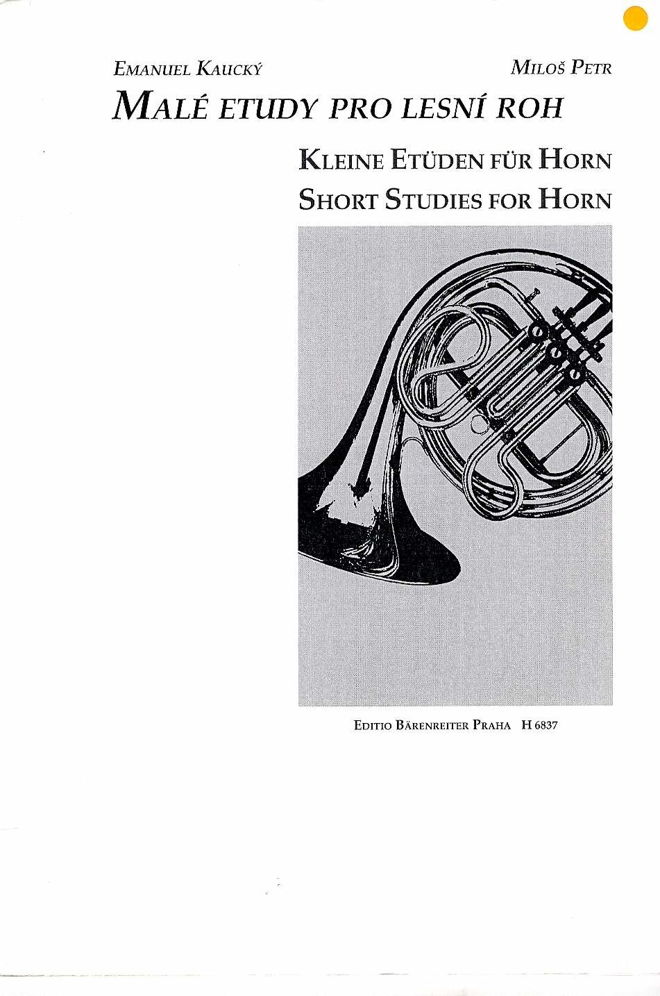 Malé etudy pro lesní roh