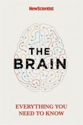 The Brain - Everything You Need to Know