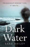 Dark Water (Bailey Sara)(Paperback / softback)