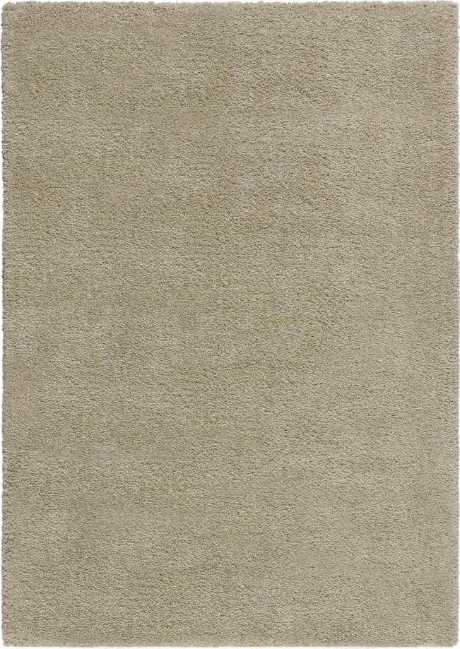 Béžový koberec 120x170 cm – Flair Rugs