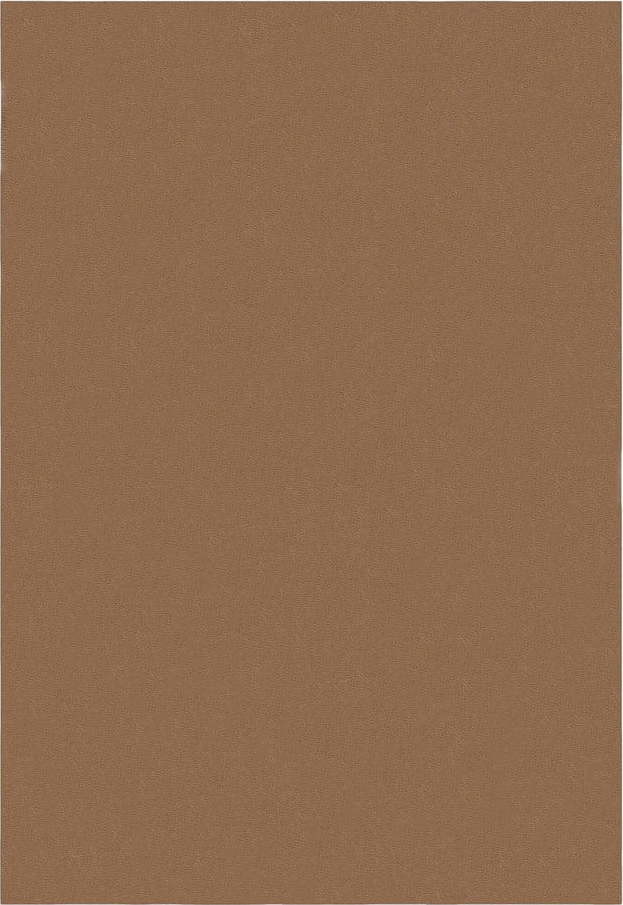 Koňakově hnědý koberec 160x230 cm – Flair Rugs