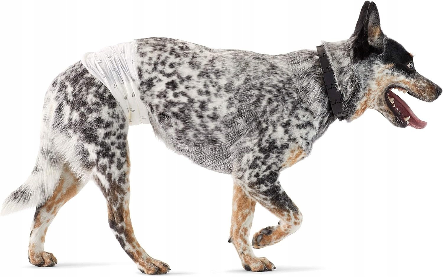 Amazon basics Plenky pro psy 50 ks velikost M