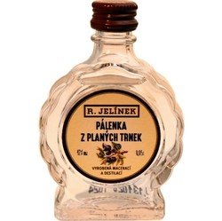 Pálenka z planých trnek 42% 50ml budík v Sada-N