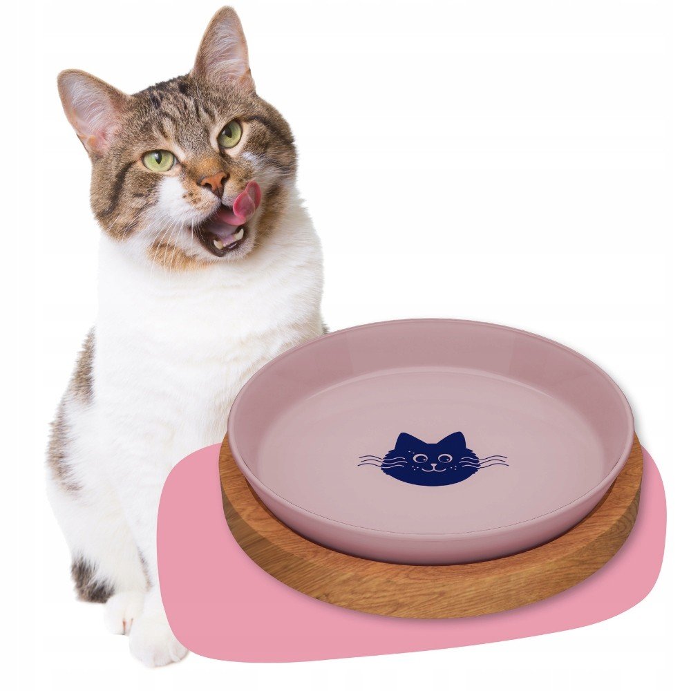 Skleněný Taleřik pro kočky 0,22L 18 cm Atest Food Contact