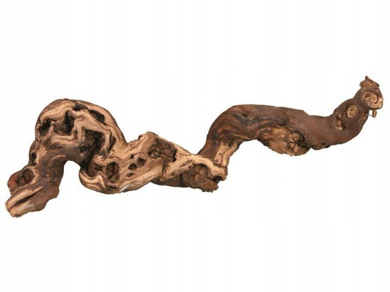 Kořen vinné révy velikost M pískovaný 35-45cm