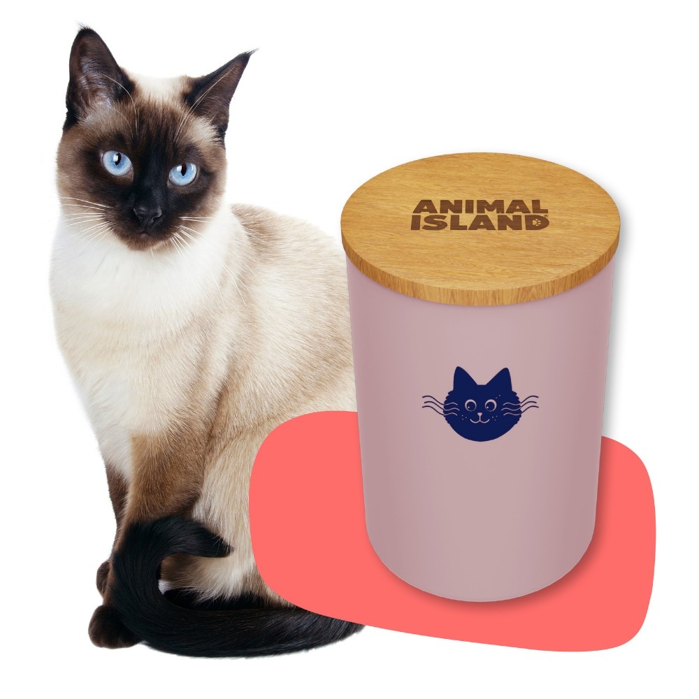Zásobník na krmivo pro kočky skleněný růžový 0,95L